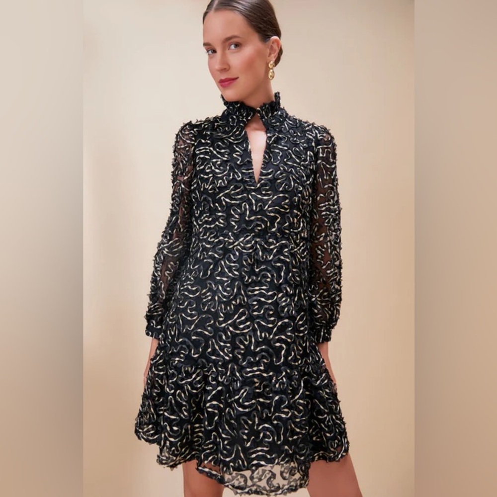 Black and Gold Tuckernuck Dress